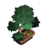 Bonsai Tree icon