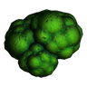 Broccoli icon